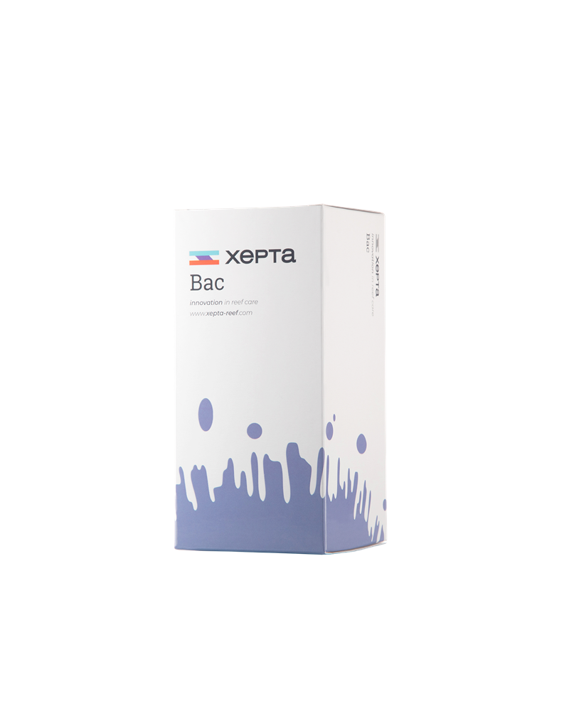 XEPTA BAC 1000 ML