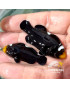 PAREJA REAL DE AMPHIPRION DOMINO