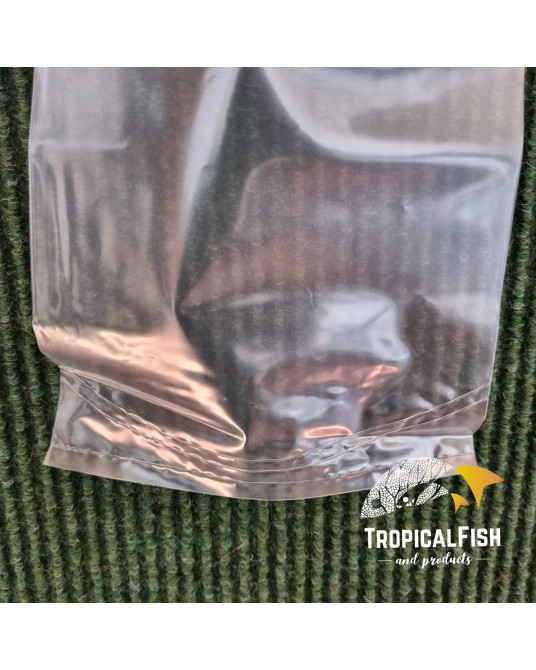 BOLSA RP 250 UNIDADES 18X50